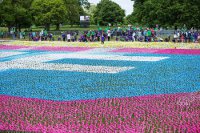 Spinning flowers for Big IF London sends Hyde Park into a spin